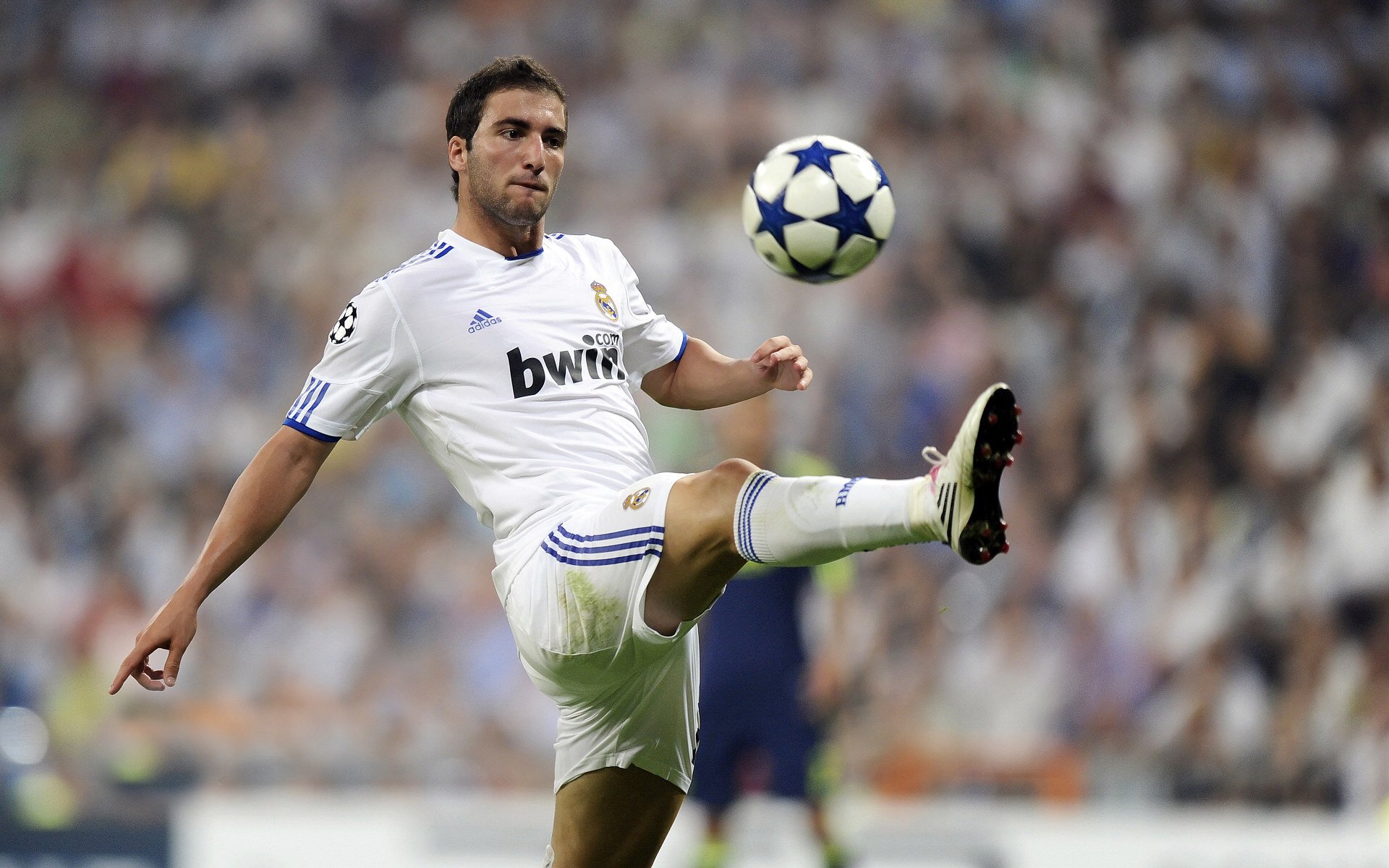 中国围棋协会与韩国围棋协会签署合作协议,韩国围棋联赛有没有中国棋手